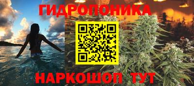 spice Коммунар