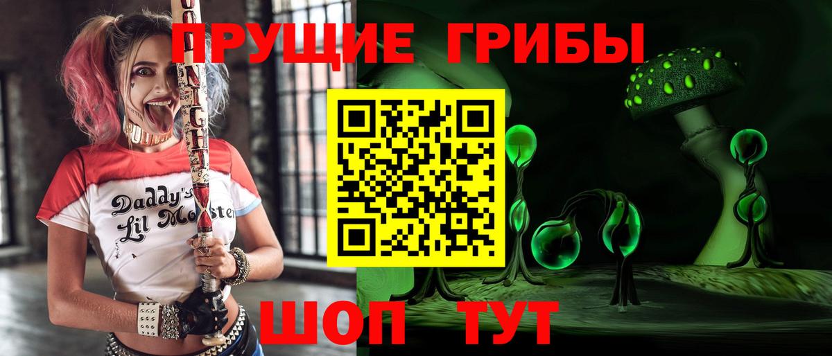 Галлюциногенные грибы Psilocybine cubensis  Вход с VPN  Кириши 